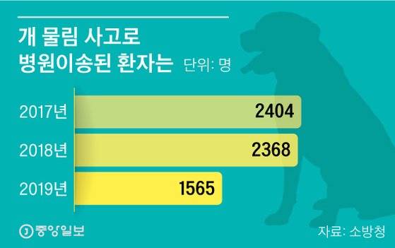 개 물림 사고로 병원이송된 환자는. 그래픽=신재민 기자