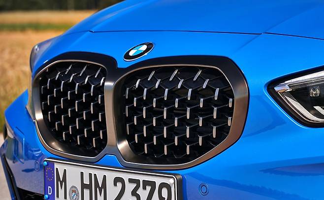 M135i x드라이브의 키드니 그릴