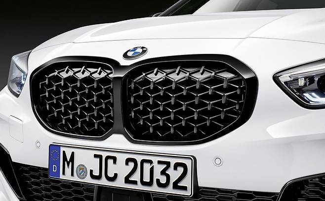 M 퍼포먼스 파츠 키드니 그릴