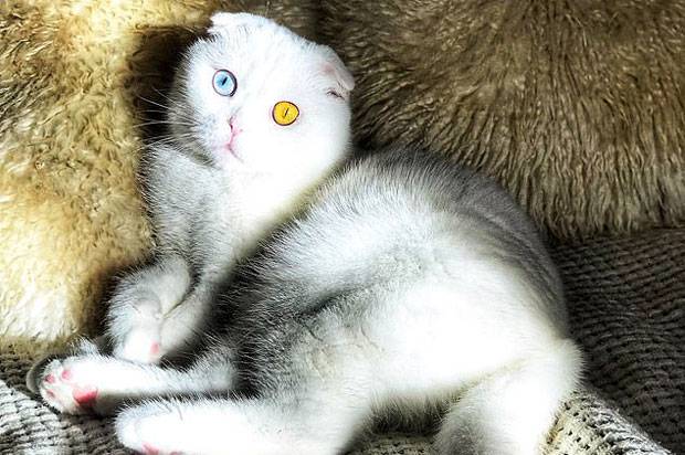 사진=who_is__joseph 인스타그램