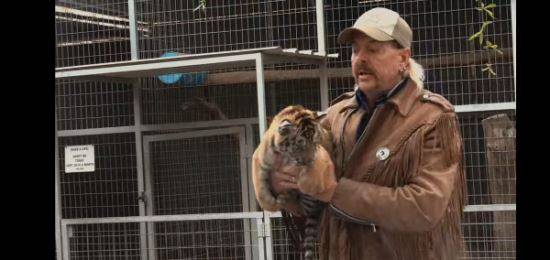 ‘타이거 킹: 무법지대’ . 넷플릭스 제공