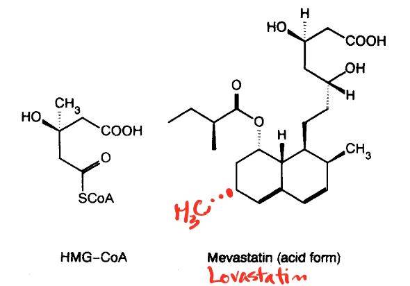 메바스타틴(오른쪽)은 콜레스테롤 생합성의 초기 단계인 HMG-CoA(왼쪽)를 메발로네이트(mevalonate)로 바꾸는 효소의 작용을 억제한다. 메바스타틴의 분자 구조를 보면 오른쪽 위 부분이 HMG-CoA와 매우 비슷해 효소가 더 잘 달라붙는다. 1987년 출시된 최초의 스타틴 의약품 로바스타틴은 메바스타틴 3번 탄소에 붙어있는 수소가 메틸기(-CH3)인 것만이 다르다(빨간색). ‘지질연구저널’ 제공