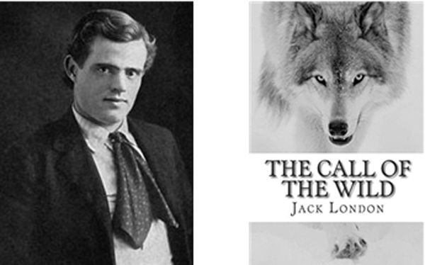 잭 런던(1876년~1916년)의 원작소설 '야성의 부름'(1903년)을 영화화했다.ⓒ