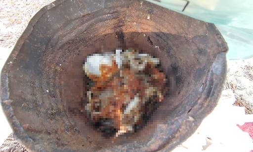 'BTS버스정류장' 인근 소나무 숲에는 피서객들이 버리고 간 음식물 쓰레기에는 파리떼가 날아드는 모습.