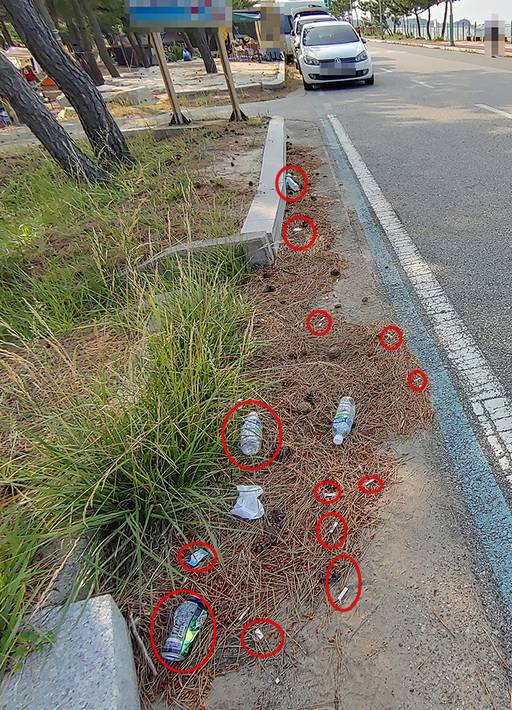 지경리 해수욕장 인근 해안도로에는 버려진 쓰레기가 바람을 타고 날리는 모습.