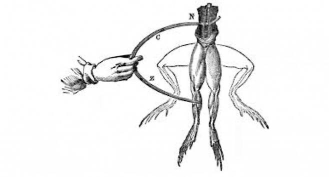 볼로냐 대학의 해부학 교수였던 갈바니(Luigi A. Galvani, 1737-1798)는 개구리의 다리를 절개하다가, 개구리 다리의 근육신경조직을 두 가지 다른 금속 조각들에 접촉시켜 놓으면 개구리의 다리에 경련이 일어난다는 사실을 발견했다.