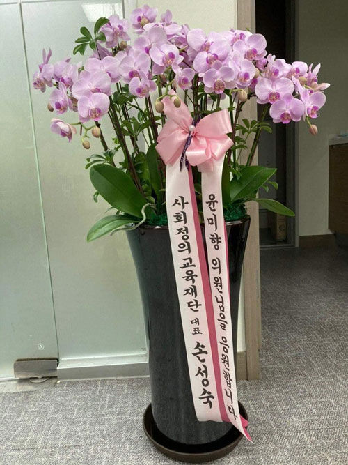 윤미향 의원이 받은 응원 화분 (사진=윤 의원 페이스북 캡처, 연합뉴스)