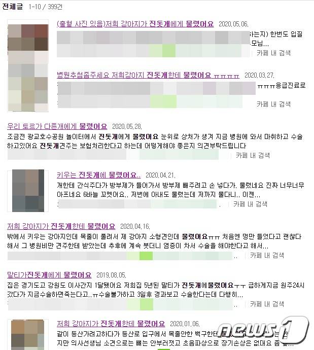 인터넷에는 진돗개가 자신의 반려견을 물어서 다쳤다는 글을 어렵지 않게 찾아볼 수 있다. © 뉴스1