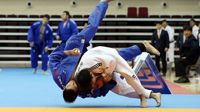 유도 국가대표 선발전 장면