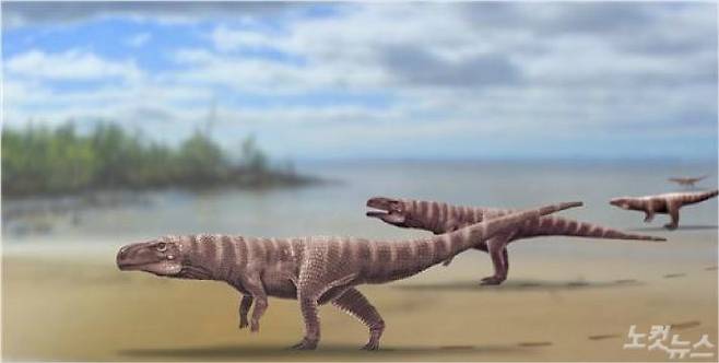 사천 자혜리의 두 발로 걷는 백악기 원시악어 복원도(credit Dr. Anthony Romillio. 진주교대 부설 한국지질유산연구소 제공)