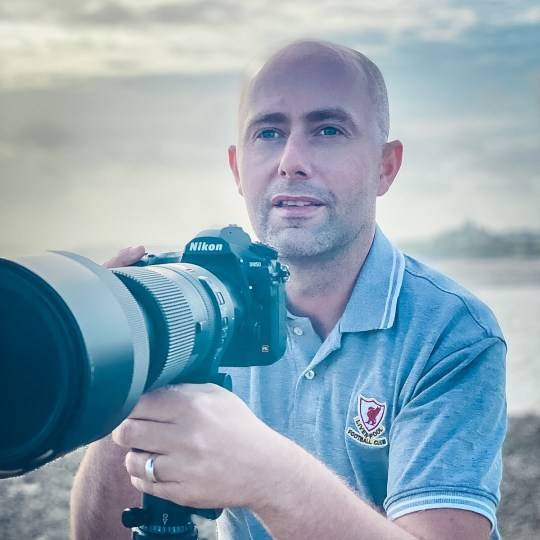 데이비드 글로진