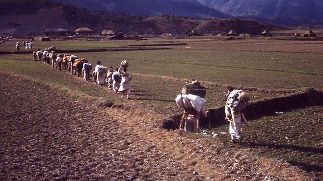 1951년 2월쯤 경북 북부지방 한 논밭을 지나는 피란민 가족