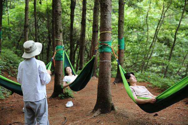 산림치유 프로그램 [사진 제공 = 산림청]