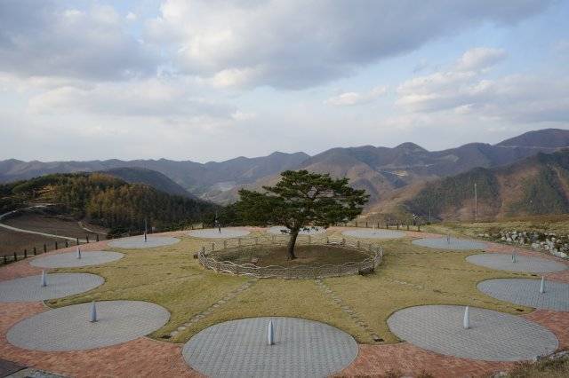 정선 신동읍 새비재 해발 850m에 조성된 타임캡슐공원은 영화 ‘엽기적인 그녀’ 촬영지로 영화에서 이름을 딴 ‘엽기 소나무’가 유명하다.