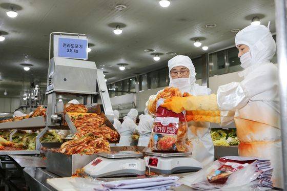 종가집 횡성공장에서 근로자들이 김치를 포장하고 있는 모습. 사진 대상