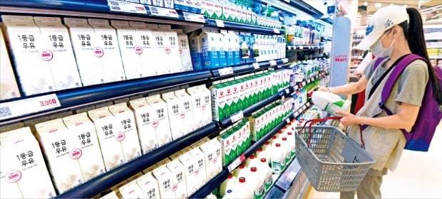 올 상반기 급식과 외식으로 소비돼야 할 우유가 남아돌면서 우유업체들이 일제히 30~50% 할인 이벤트에 나서고 있다. 26일 서울 중구의 한 대형마트에서 소비자가 매대에 진열된 우유제품을 살펴보고 있다. /신경훈 기자 khshin@hankyung.com