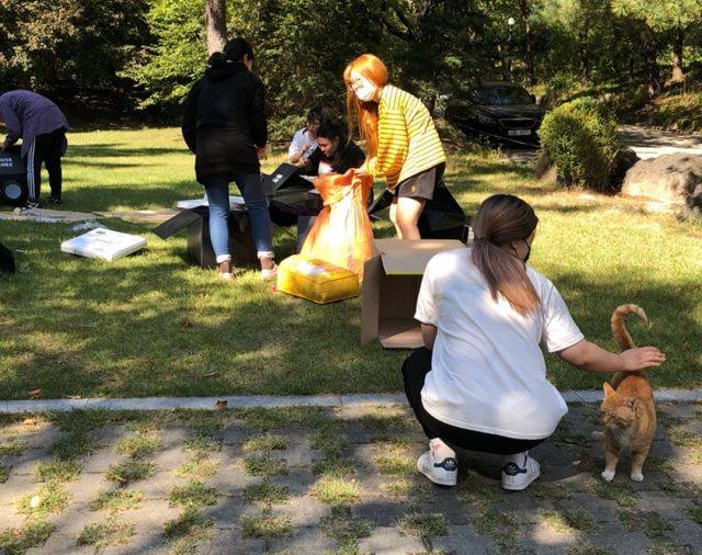 겨울집을 설치하고 있는 캐슈넛.