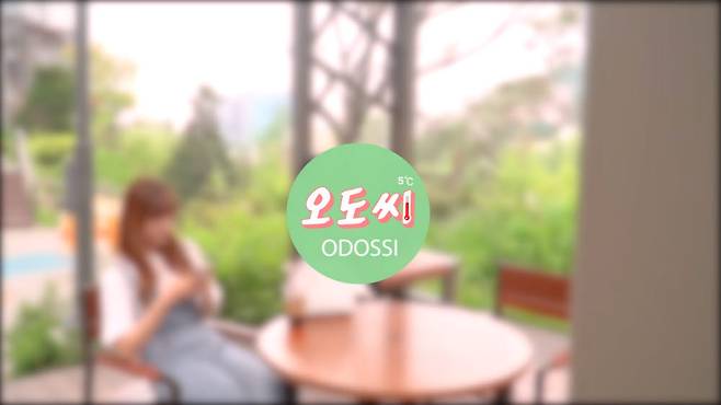 사진=유튜브 채널 오도씨(Odossi) 캡처