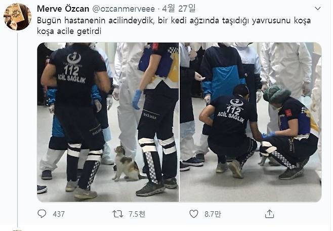 한 트위터 사용자(@ozcanmerveee)가 올린 사진[트위터 캡처. 재판매 및 DB금지.]