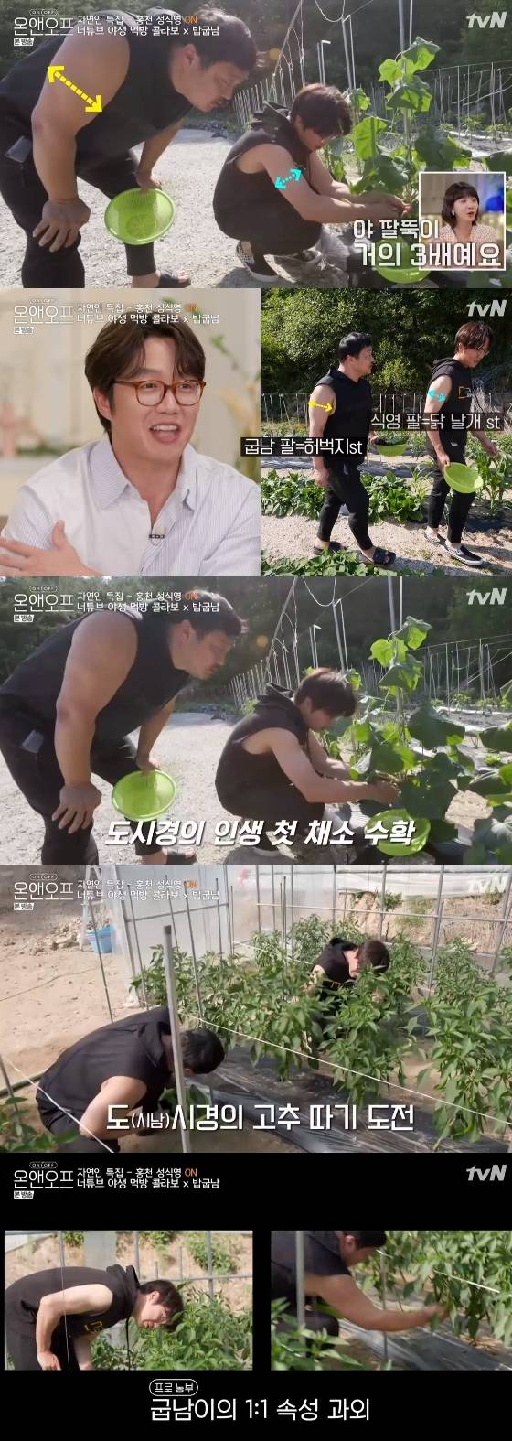 /사진=tvN'온앤오프' 방송화면 캡처