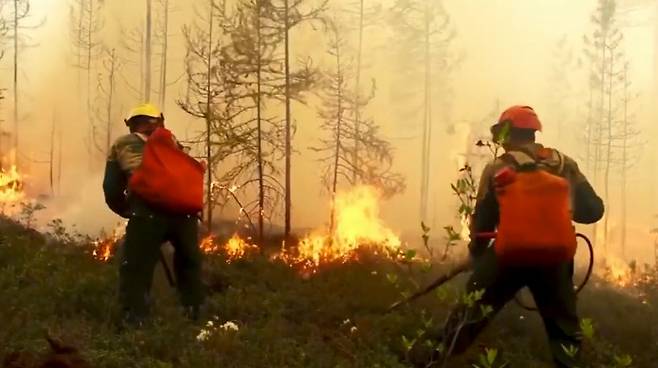러시아 방송인 RU-RTR이 제공한 러시아의 산불 진화 작업 모습. 2000 ha 이상의 산림이 불에 휩쌓였다. 강한 바람이 불길을 더욱 번지게 하고 있다.  AP연합뉴스