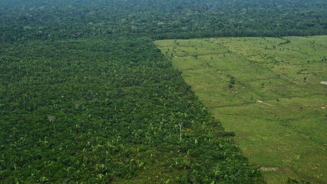 삼림 벌채로 나무가 잘려나간 아마존 열대우림 일부 지역(오른쪽)