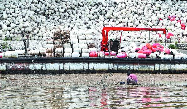 경남 통영시 용남면 원평리 일대에 쌓인 굴 양식용 스티로폼 부이 앞에서 한 노인이 섭을 채취하고 있다.