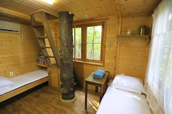 나무 기둥이 보이는 트리하우스 허클베리의 침실 [사진/성연재 기자]