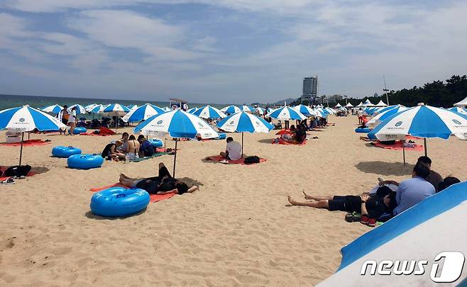 강원 강릉 경포해수욕장 개장 후 첫 주말인 18일 경포해수욕장에서 파라솔이 2m 간격으로 설치돼 있다. 2020.7.18/뉴스1 © News1 최석환 기자