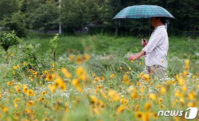 전국적으로 비가 내린 20일 오후 대전 서구 유등천 일원에서 한 시민이 우산을 쓰고 산책을 하고 있다. 2020.7.20/뉴스1 © News1 김기태 기자