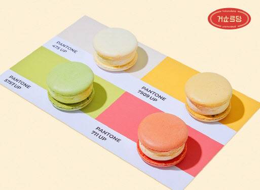 쓰리케어코리아가 런칭한 신규 브랜드 ‘거꾸로당’에서 선보인 다이어트 마카롱. 일명 뚱카롱이 라불리는 형태를 띄고 있다.(사진=브랜드엑스코퍼레이션)