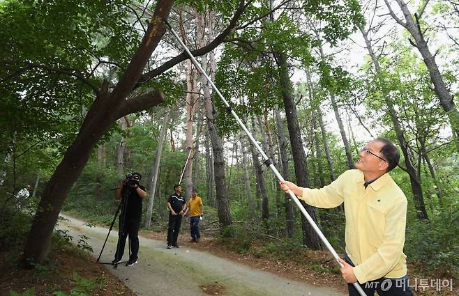 박종호 산림청장이 17일 강원도 원주지역의 매미나방 방제 현장을 방문해 끌개로 매미나방 알집을 제거하고 있다./사진=산림청