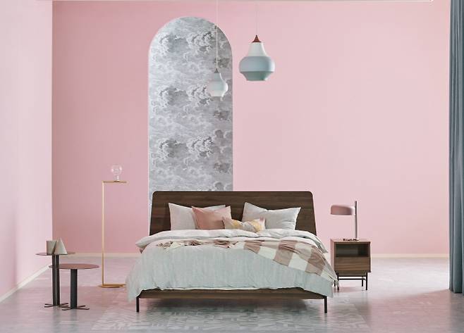 시몬스 침대, 프레임 신제품 출시 카누스