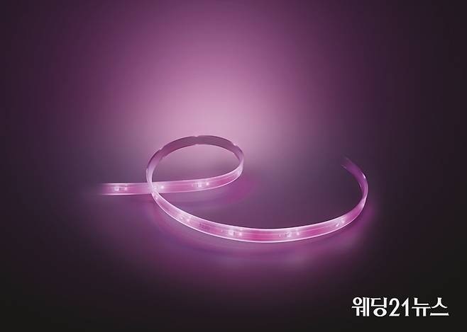 사진 : 필립스 휴 라이트스트립 플러스