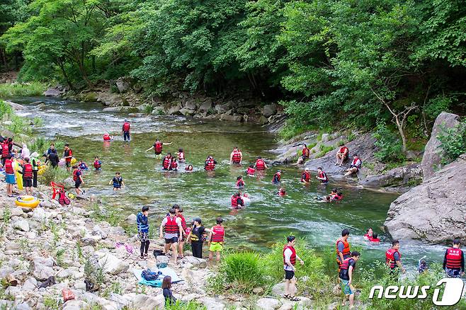경기도는 자릿세 등 각종 불법의 온상이었던 가평 용추계곡을 께끗하게 정비했다.(경기도 제공)© 뉴스1