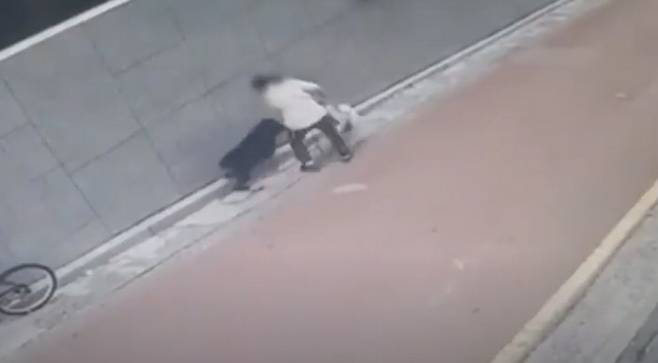 29일 산책 중 입마개와 목줄을 하지 않은 로트와일러가 스피츠와 견주를 공격하는 장면이 폐쇄회로(CC)TV에 찍혔다. 연합뉴스TV 캡처