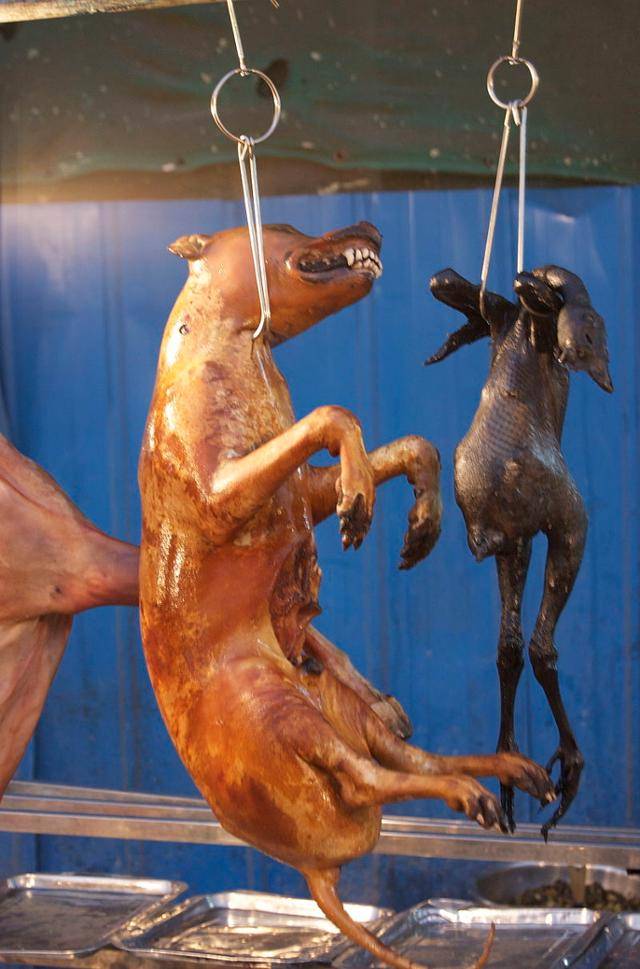 율린 시 개고기 페스티벌. 위키피디아