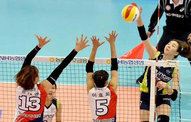 배구선수 고유민이 1일 자택에서 숨진 채 발견됐다. / 사진=뉴스1