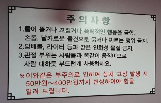 리얼돌 체험방 벽면에는 사용시 주의해야할 점도 상세히 적혀있었다.