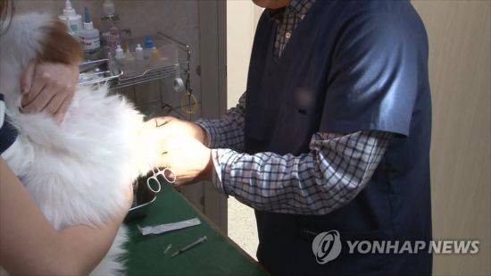 사진은 기사 중 특정표현과 무관함. 사진=연합뉴스