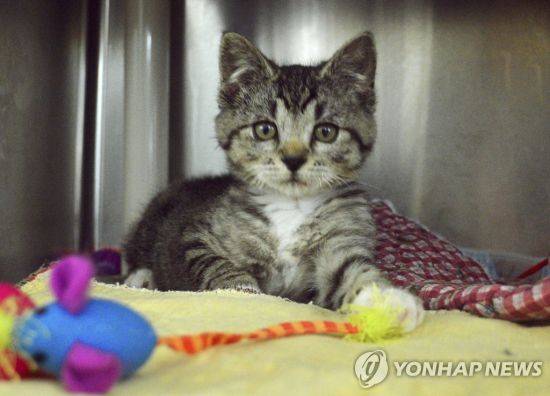 사진은 기사 중 특정표현과 무관함. 사진=연합뉴스