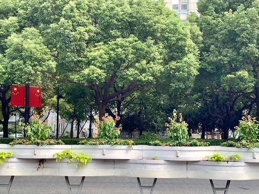 15일 중국 상하이 푸둥지구 거리에 중국 건국 70주년을 기념해 중국 국기 오성홍기가 걸려 있다. /상하이=김남희 특파원