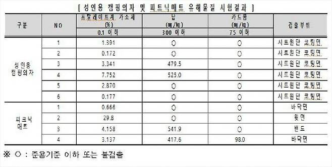 성인용 캠핑 의자 및 피크닉 매트 유해물질 시험결과(표=한국소비자원 제공)