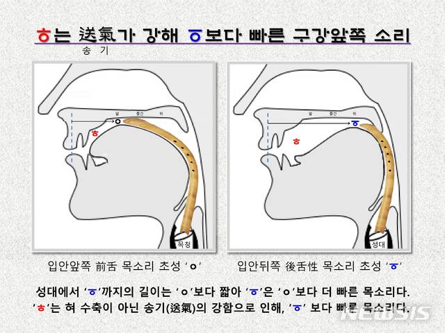 [서울=뉴시스] <사진1> 목소리의 발원지인 성대(목청)에서 ‘ㆆ’까지의 길이는 ‘ㅇ’보다 짧아 관악기의 규율처럼 ‘ㆆ’은 ‘ㅇ’ 보다 더 빠른 목소리다. ‘ㅎ(虛)’는 혀 수축이 아닌 송기(送氣)의 강함으로 인해 ‘ㆆ’ 보다 빠른 목소리다.