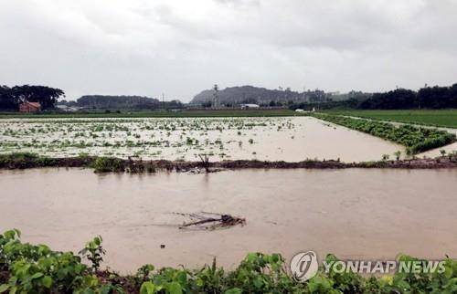 물에 잠긴 논밭 [연합뉴스 자료사진]