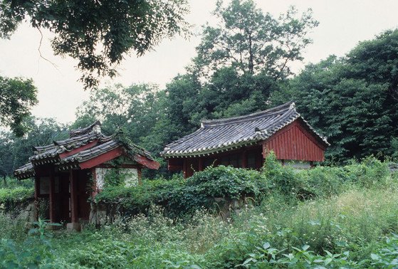 경기 김포에 있는 심온 사당 [중앙포토]