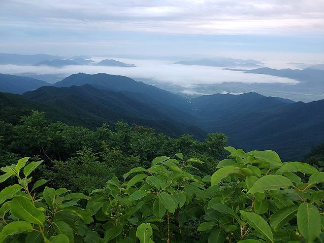 지리산의 새벽은 운해로 시작한다. 노고단 정상에서 운해 아래 저 멀리 화엄사와 구례시내가 내려다보인다.