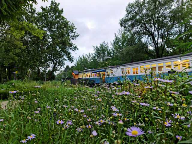 갤럭시노트20 울트라로 촬영한 1억800만화소 사진. (사진=지디넷코리아)