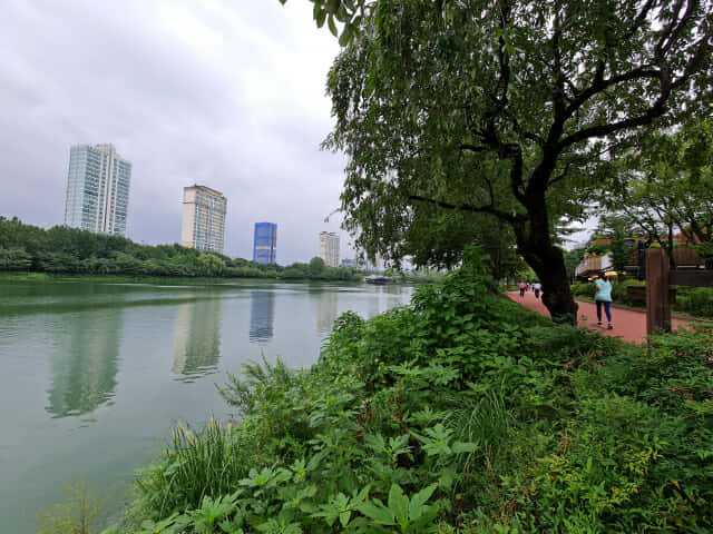 갤럭시노트20 울트라로 촬영한 주간 사진. (사진=지디넷코리아)