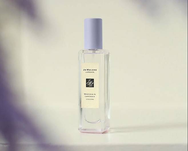 조 말론 런던 위스테리아 앤 라벤더 코롱